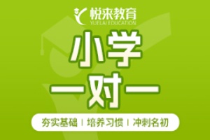 武汉小学全科一对