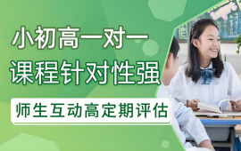 郑州小初高一对一